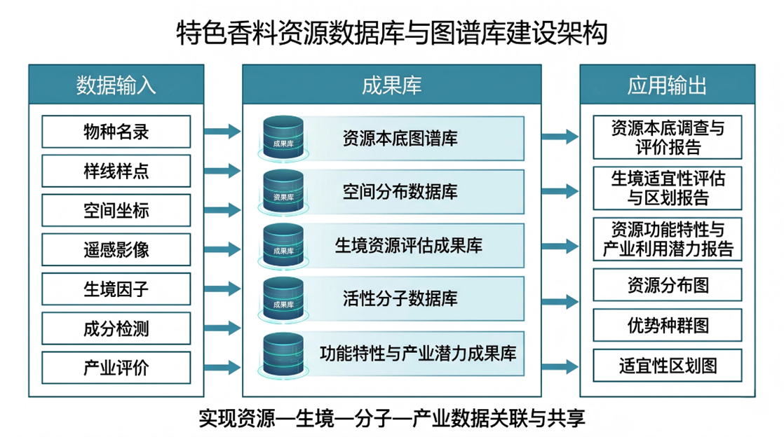项目团队初步形成特色香料资源数据库与图谱库建设方案.png